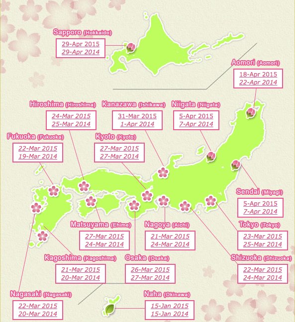 Cómo podemos saber cuando florecen los cerezos en Japón