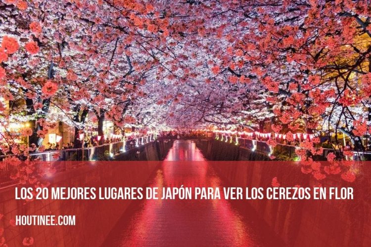 Los 20 mejores lugares de Japón para ver los cerezos en flor